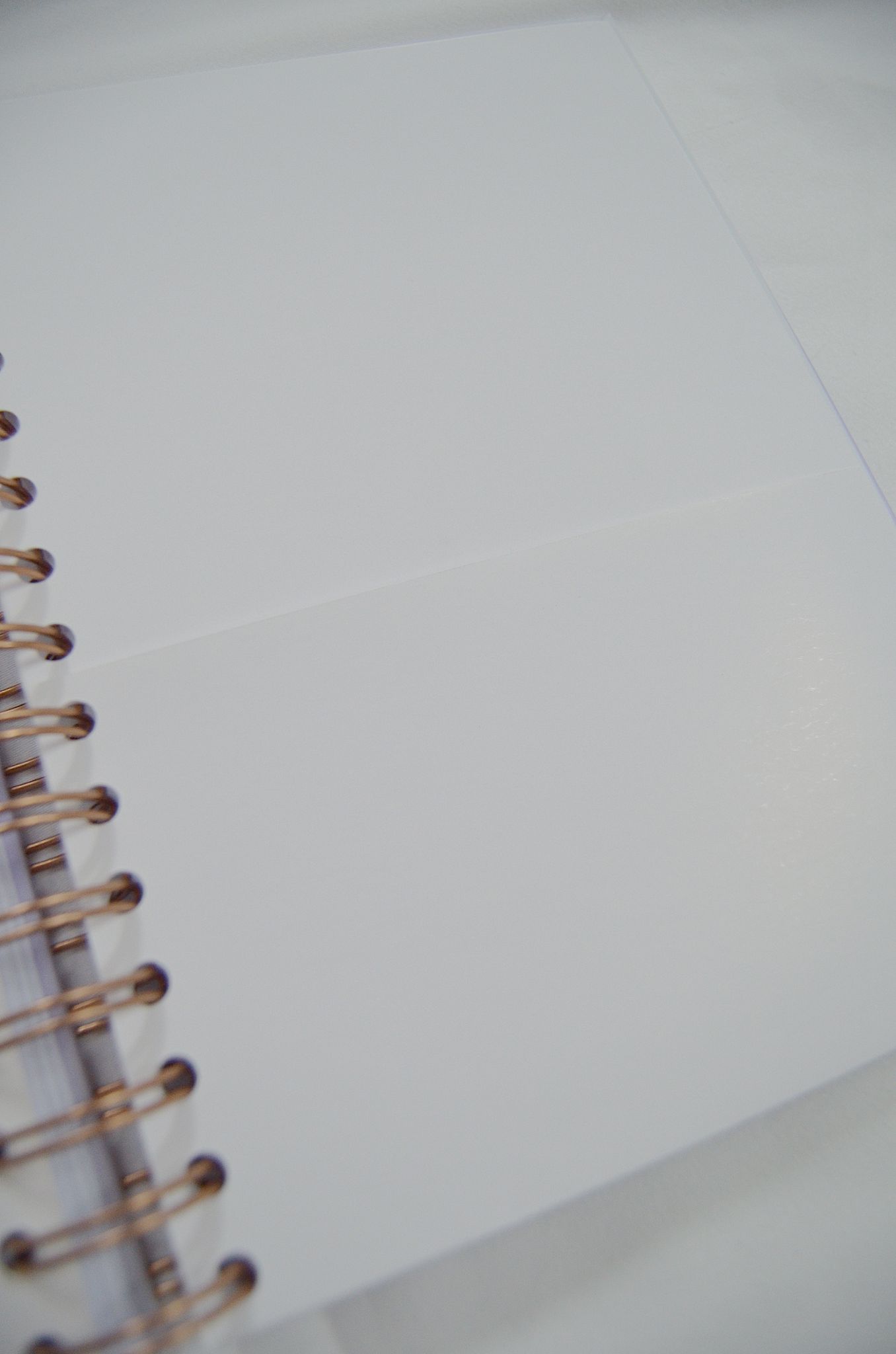 LA AGENDA MUAH - Imagen 19